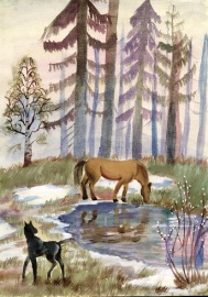 Весна 
Замуруева Виктория, 10 лет, Россия