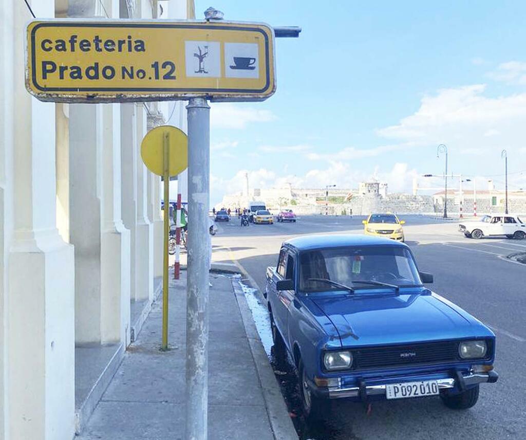 Фото: Илья Виноградов