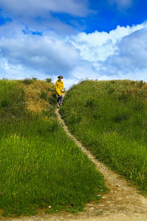 Фото: pixabay.com Фото: pixabay.com